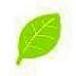 Freegamesforest